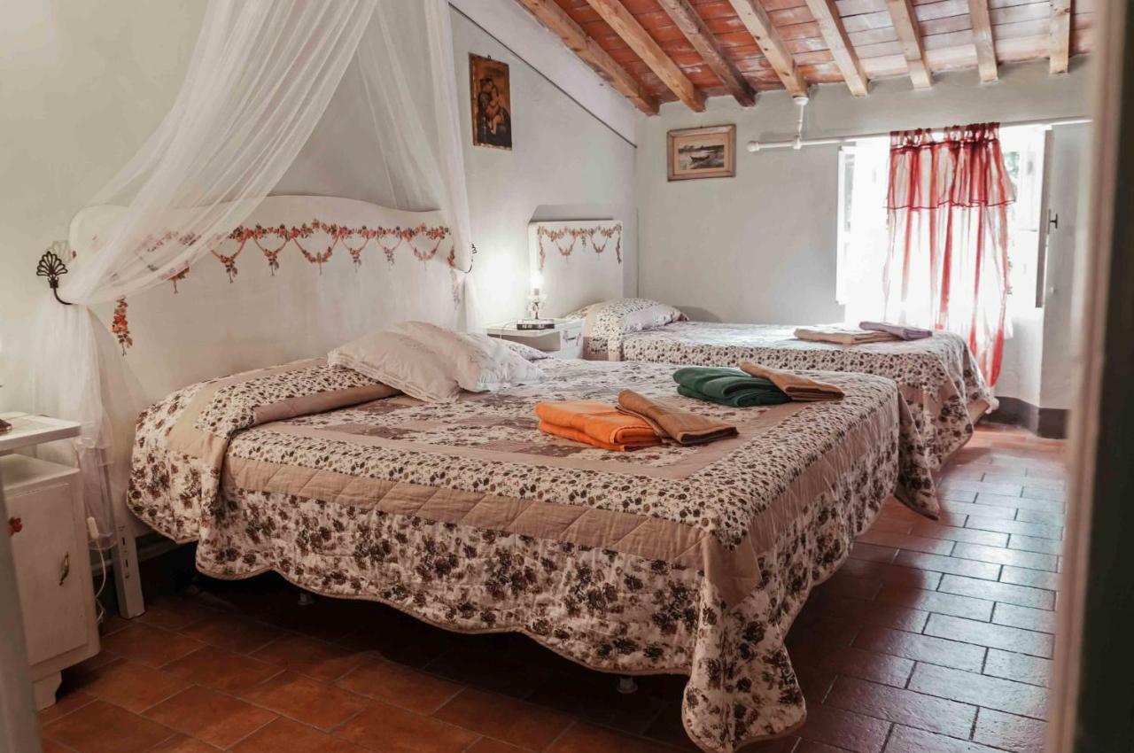 Agriturismo Corboli Vernio Luaran gambar
